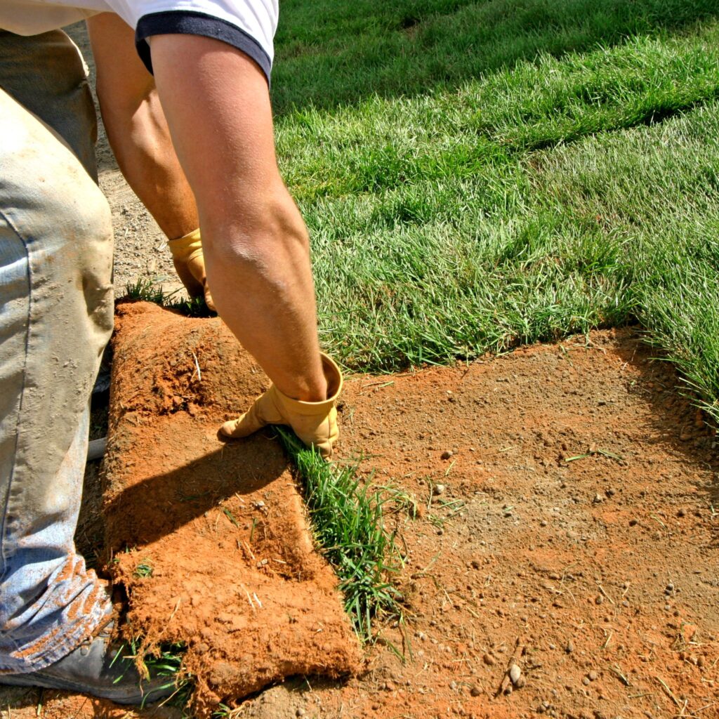 SOD installation