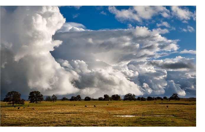 Site Prep land view