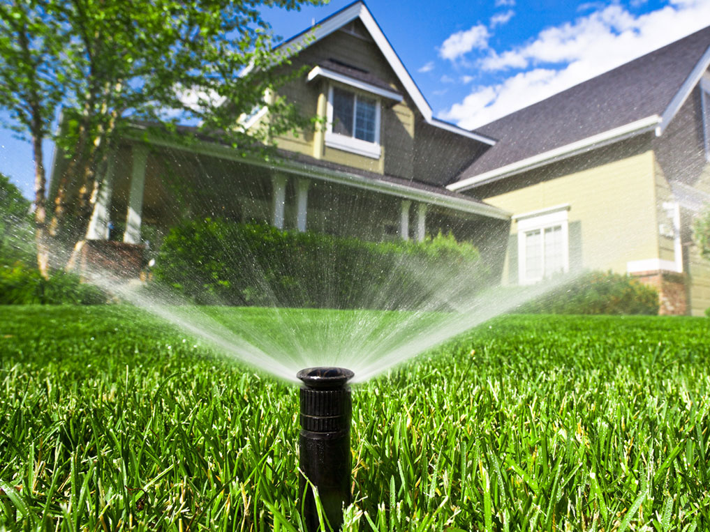 Sprinkler working in the garden